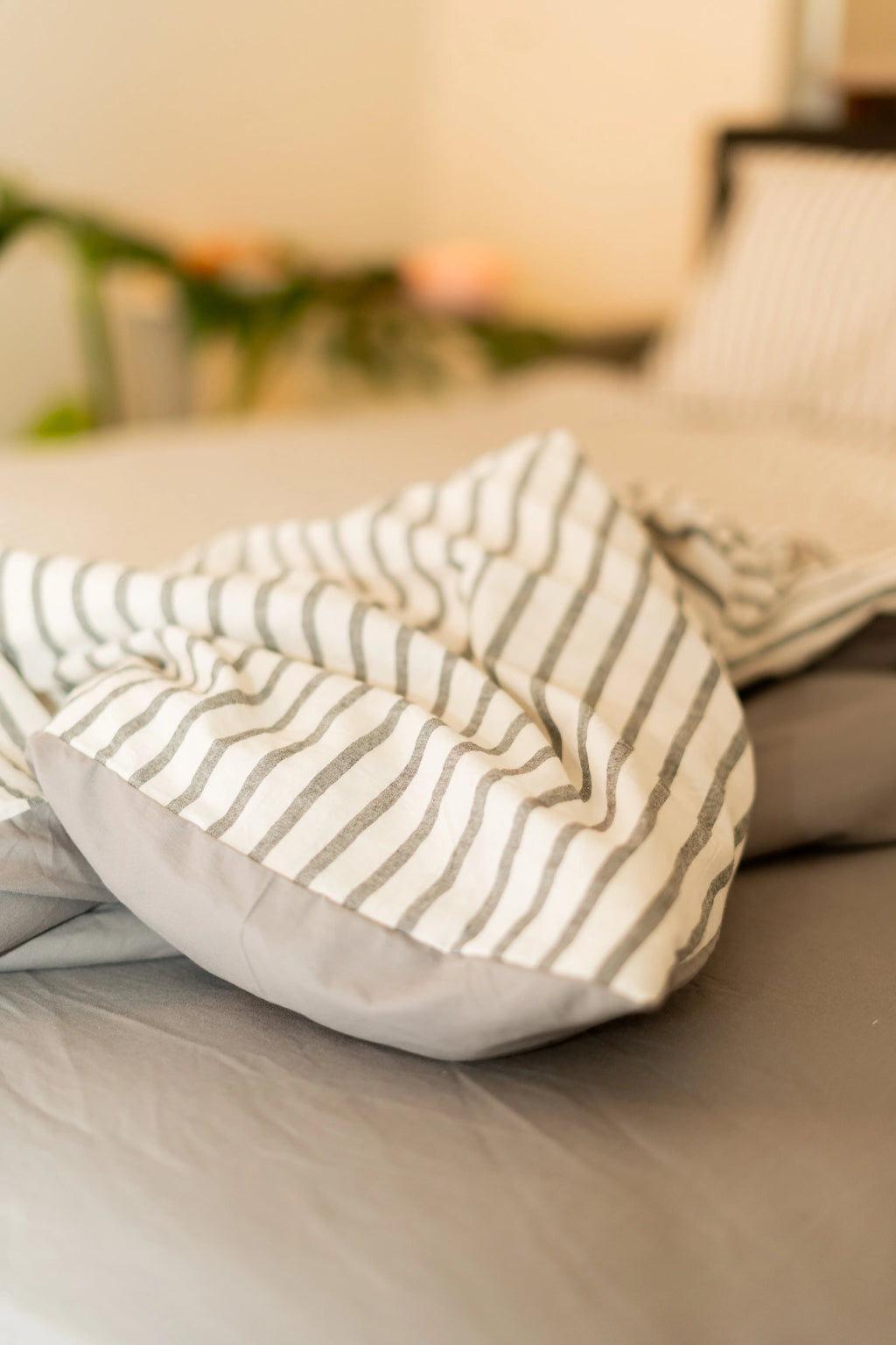 Black_Stripe My Store