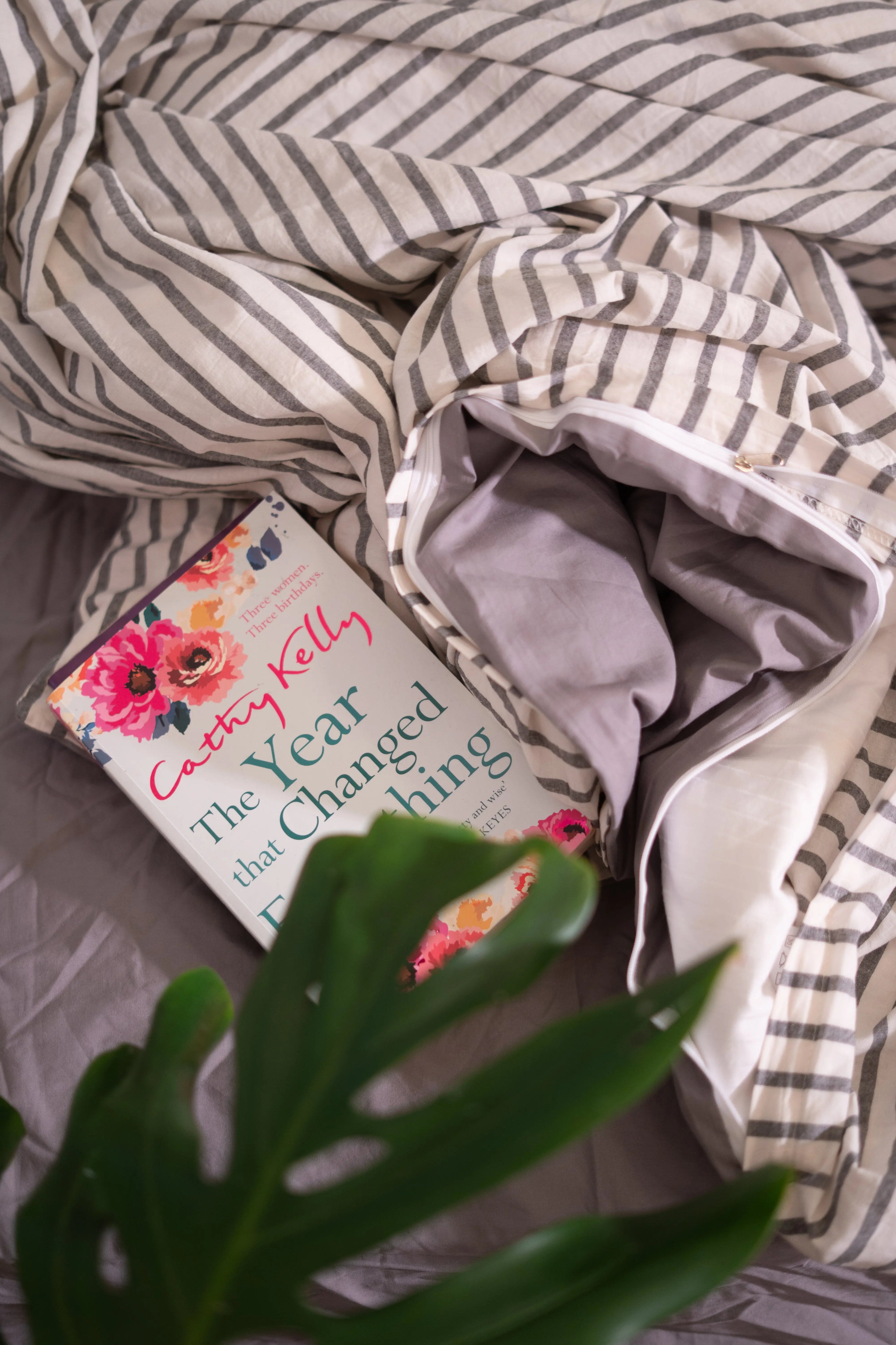 Black_Stripe My Store